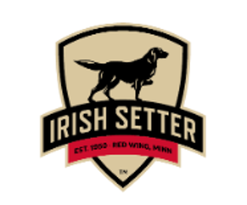 Irish Setter